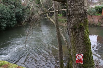 Information sign on tree by river in forest