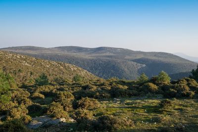 Scenic view of mountains against clear sky