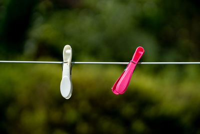 Close-up of clothespins hanging on rope