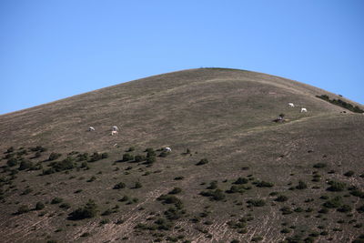 hill