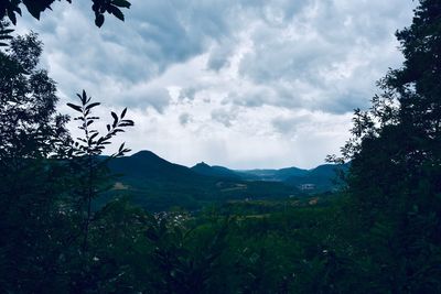 Low angle view of trees and mountains against sky