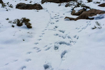 High angle view of snow covered field