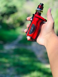 Midsection of person holding red leaf