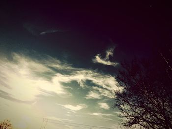 Low angle view of trees against sky