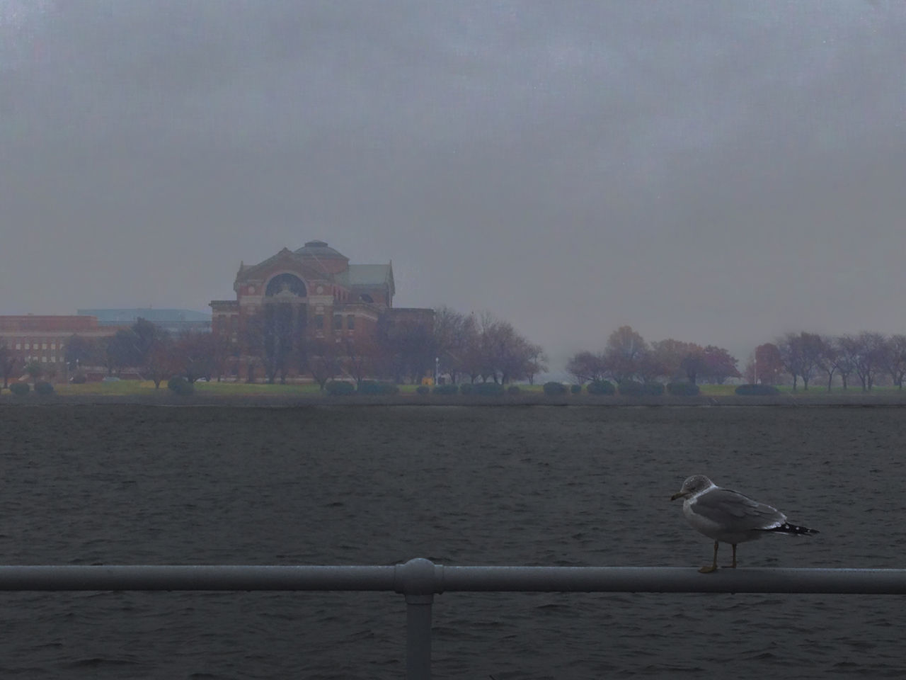 bird, building exterior, built structure, architecture, water, animal themes, animals in the wild, sky, wildlife, one animal, sea, river, seagull, city, outdoors, perching, nature, waterfront, day, no people