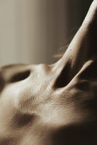Close up of female neck and collarbones shot in warm sun light.