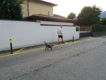 Dog walking on street by building