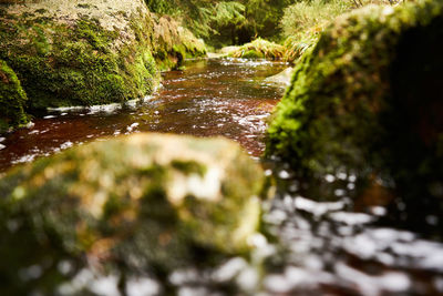 Surface level of water flowing through rocks