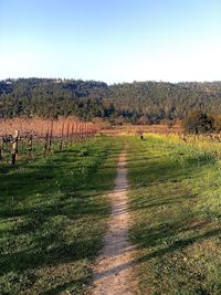 Scenic view of land against clear sky