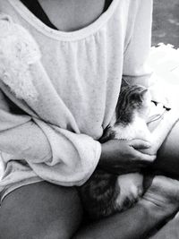 pets