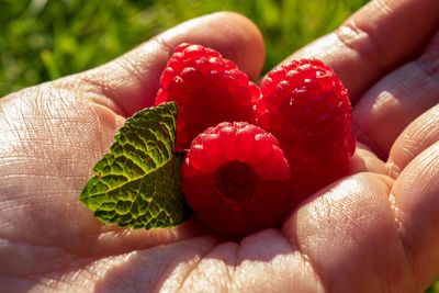 Close-up of hand holding strawberry