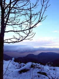 Snow covered landscape