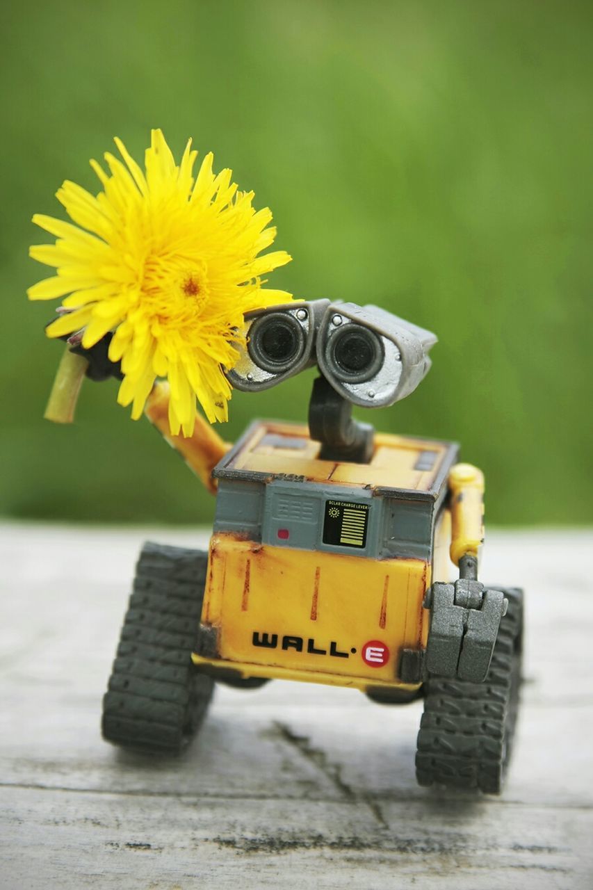 yellow, flower, focus on foreground, close-up, toy, selective focus, insect, fragility, one animal, day, no people, petal, outdoors, still life, freshness, animal themes, nature, table, childhood