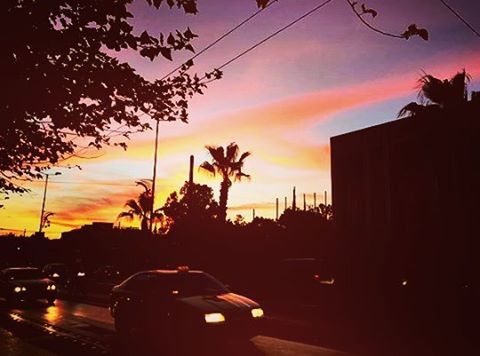 sunset, silhouette, transportation, car, land vehicle, sky, mode of transport, orange color, tree, road, street, building exterior, cloud - sky, architecture, built structure, city, cloud, street light, dusk, dramatic sky