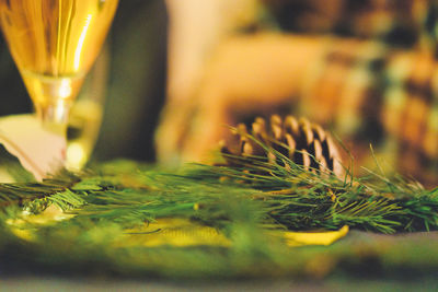 Close-up of beer glass on table