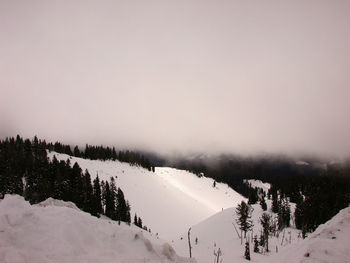 Snow covered trees against sky