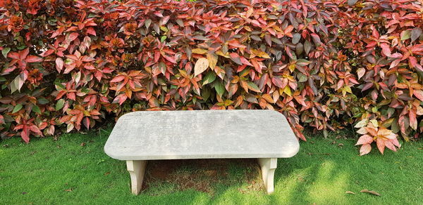 Sunlight falling on bench in park