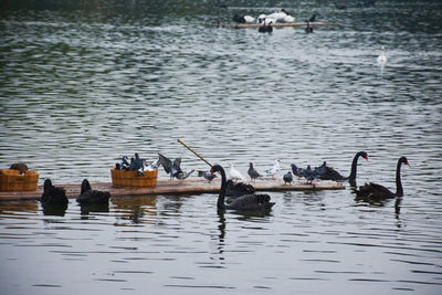 People on boat in water