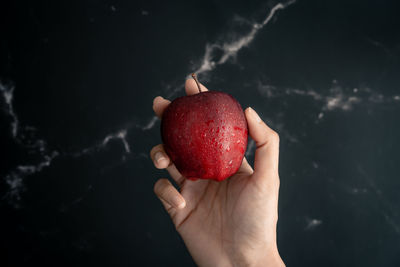 Midsection of person holding apple