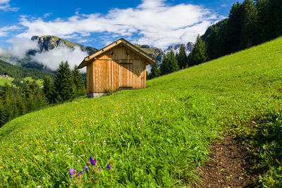 Log cabin on green hill against sky