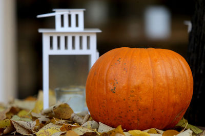 Close-up of pumpkin