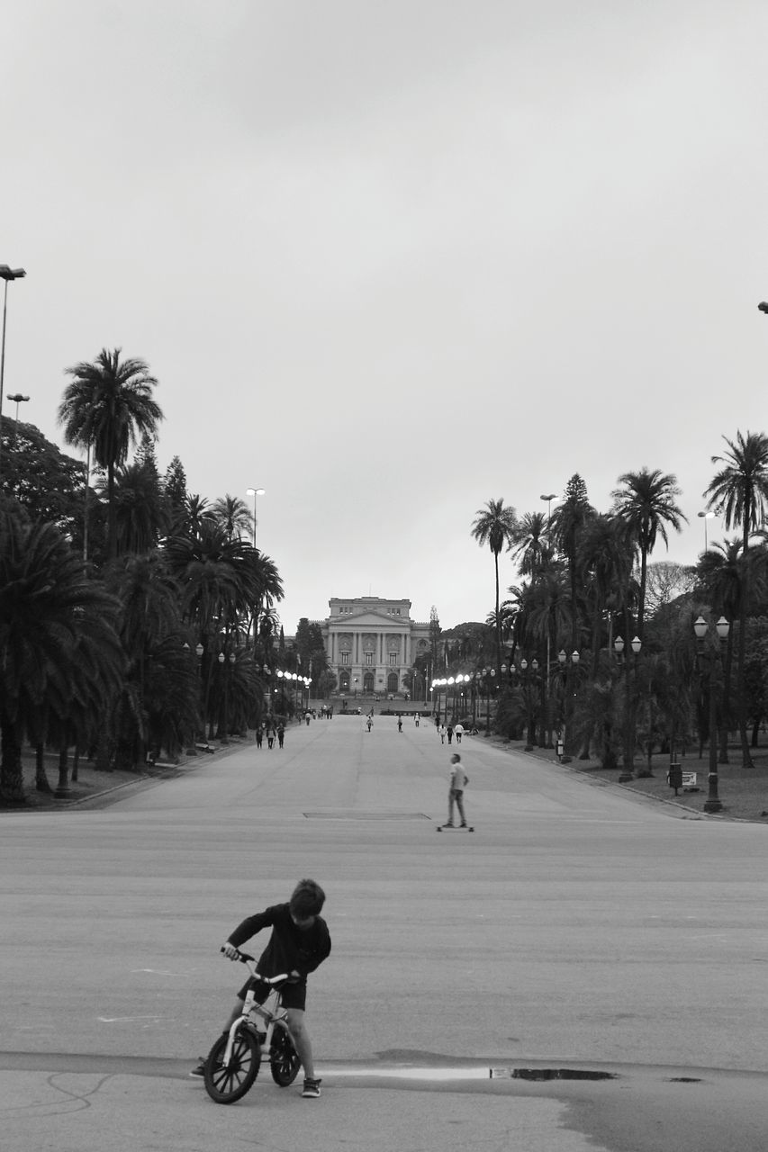 MAN WITH UMBRELLA ON PALM TREE