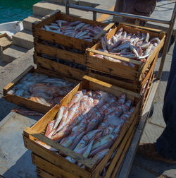 High angle view of fish in market