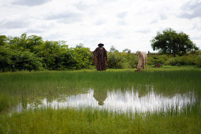 Rear view of horses on grass by lake against sky