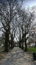 Empty bench in park