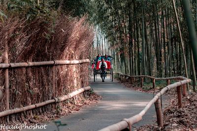 Rear view of people riding bicycle in forest