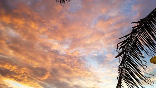 Low angle view of cloudy sky at sunset