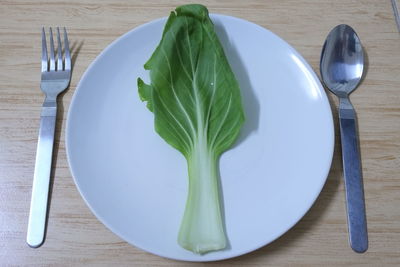 High angle view of vegetables in plate on table