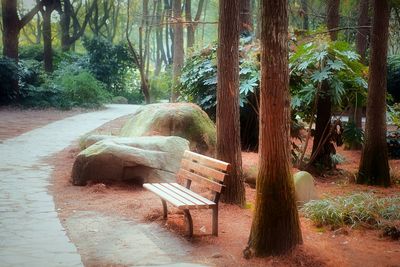 Tree trunk on wooden wall