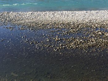 Close-up of wet shore against sky during sunset