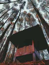 Low angle view of built structure in forest