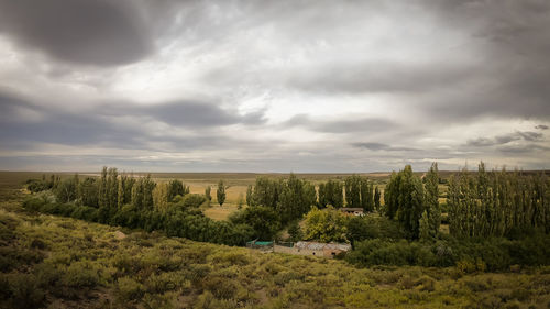 Scenic view of field against sky