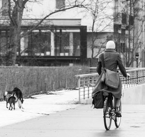 Rear view of woman cycling on street during winter