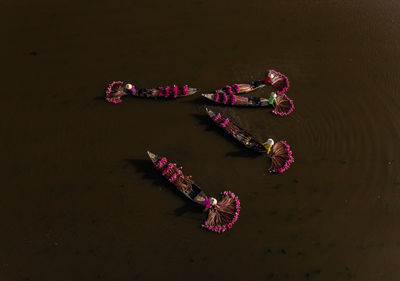 High angle view of boats in sea
