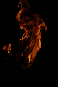 Close-up of bonfire against black background