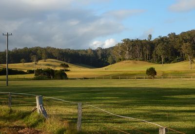 Scenic view of grassy field against sky