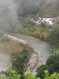 High angle view of river amidst trees in forest