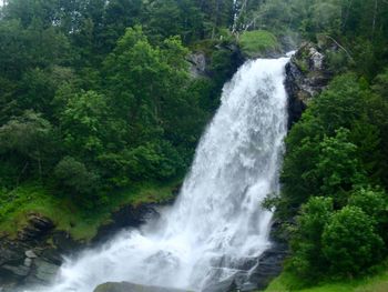 Scenic view of waterfall in forest