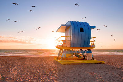 Seagull flying over beach during sunset