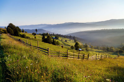 Scenic view of field against sky