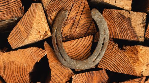 Close-up of horseshoe on wood