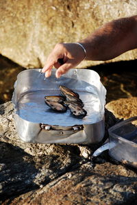 Cropped hand of man arranging mussels in container