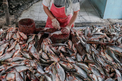 View of fish for sale at market