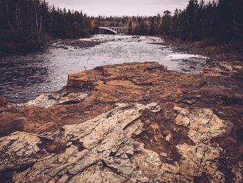 View of calm river in forest