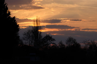 Silhouette trees against sky during sunset