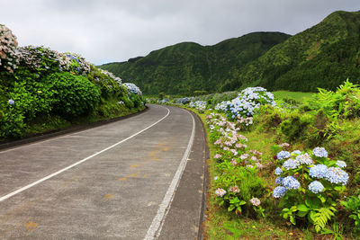 Road amidst trees and mountains against sky